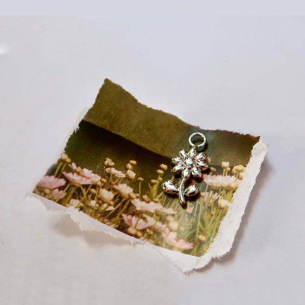 NUEVO  Charm Margarita